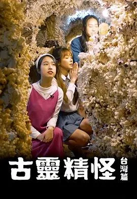 《古灵精怪台湾篇》：一场充满惊喜与冒险的台湾之旅